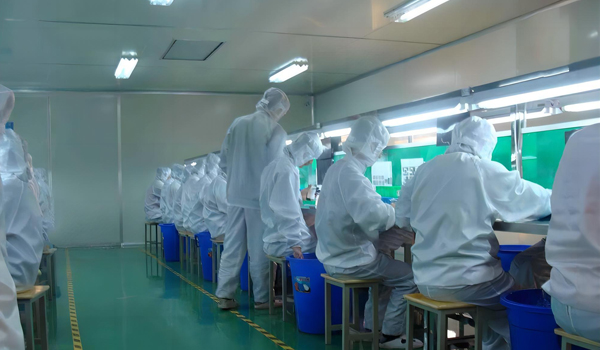 荔枝视频污在线观看模组